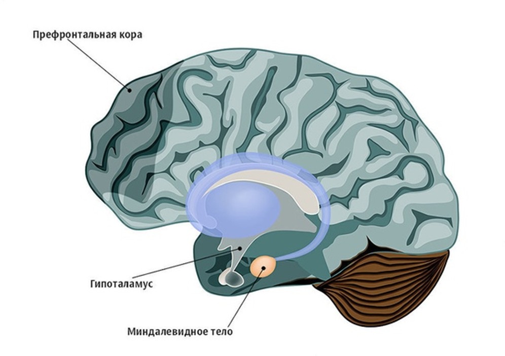 Рисунок1.jpg