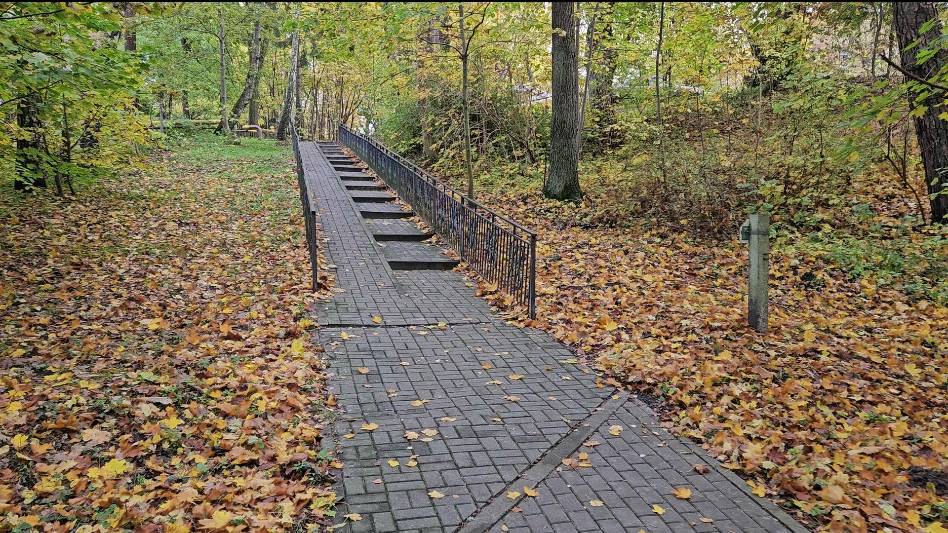 Image/Сайт/Лайфстайл/20231105_152204 - frame at 0m25s.jpg