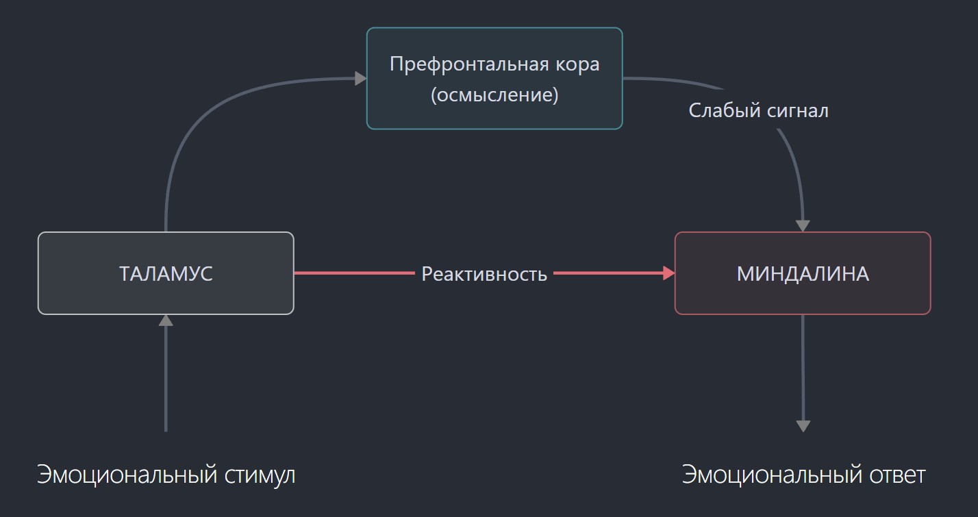 _250529132134.png