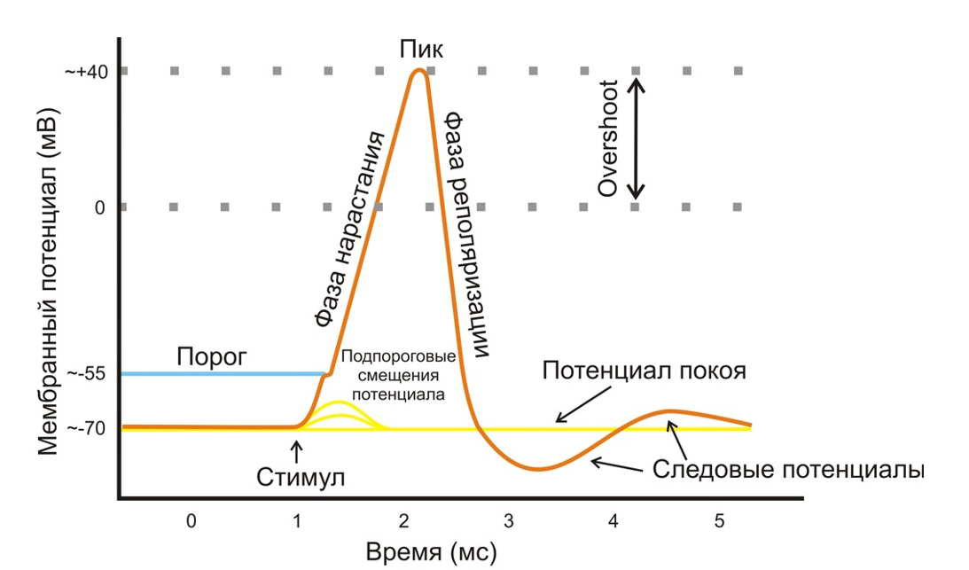 _250529132848.png